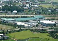 Donari Plant